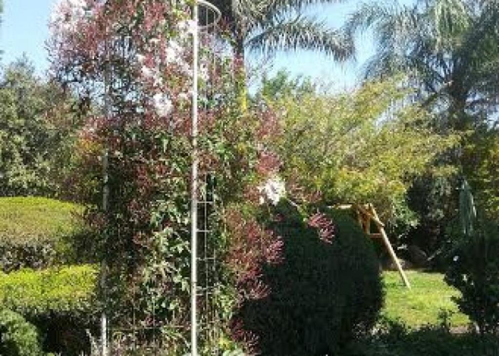 Musical Garden Cabins Ramot Ruang foto